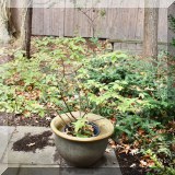 L08. Garden planter. 